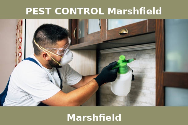 PEST CONTROL Marshfield